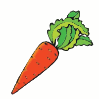 Carrot